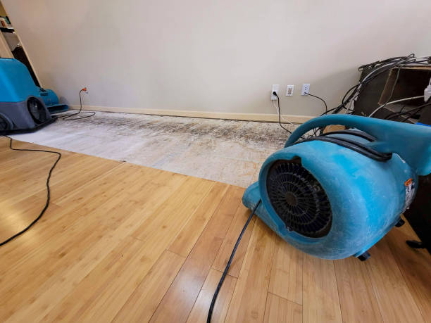 Professional Water Removal technician working in Morris Plains, NJ